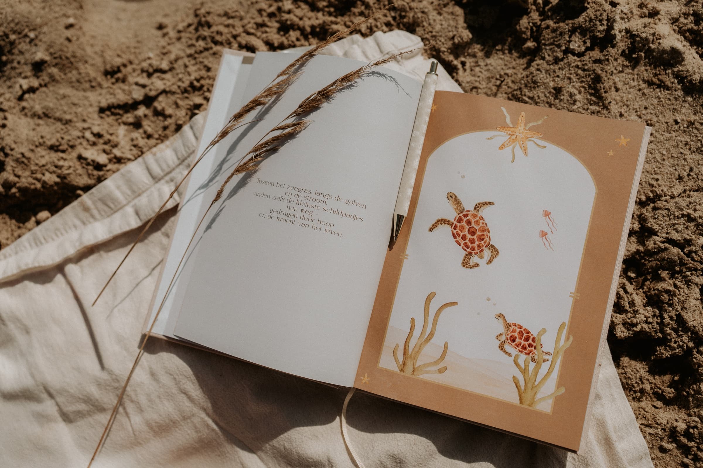 Gedicht over kleine schildpadjes en illustratie met zeeschildpadden