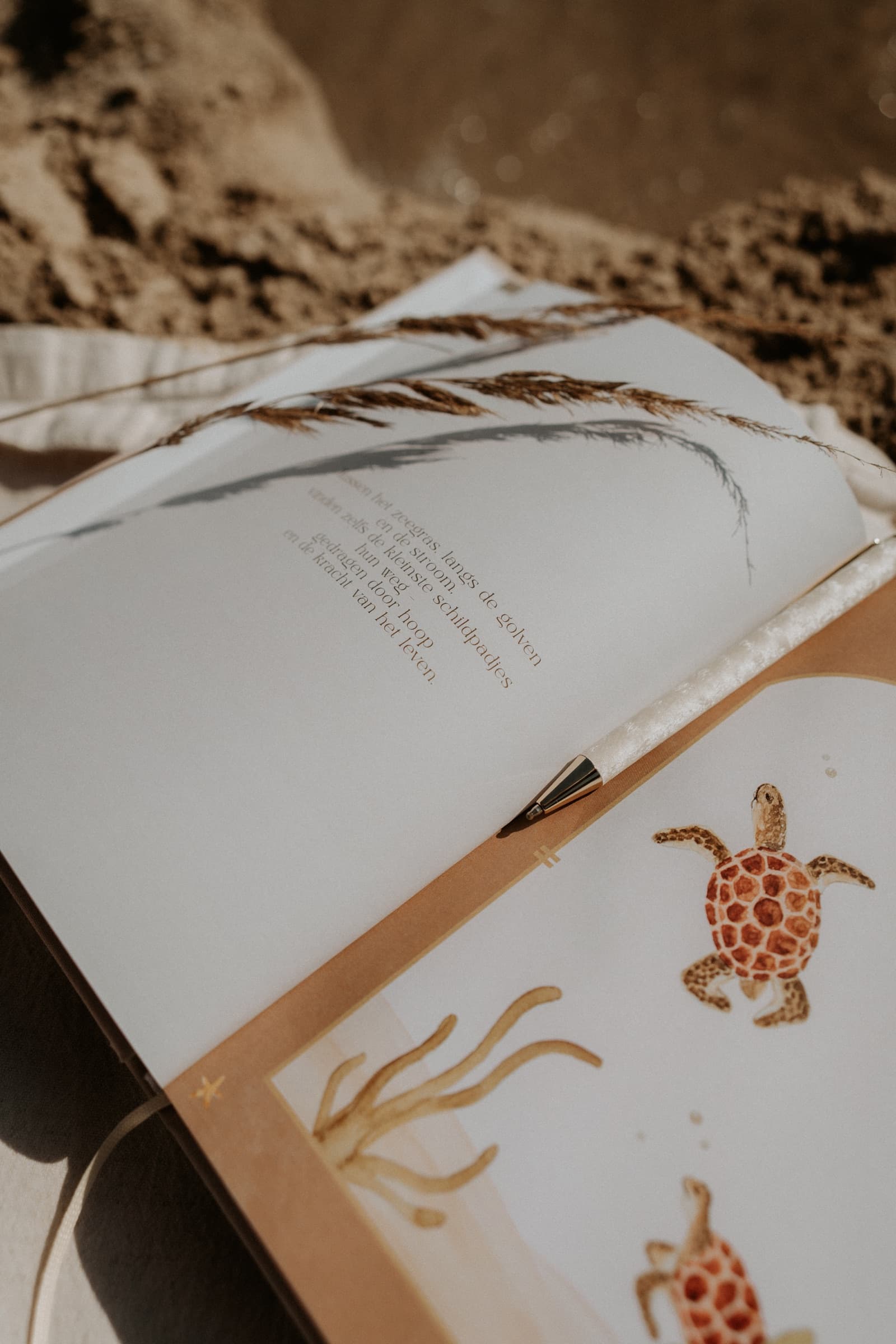 Open pagina’s met zeeschildpad-illustratie aan het strand